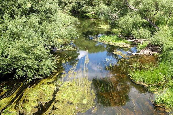 Atcelts Ludzas upes posma tīrīšanas projekts