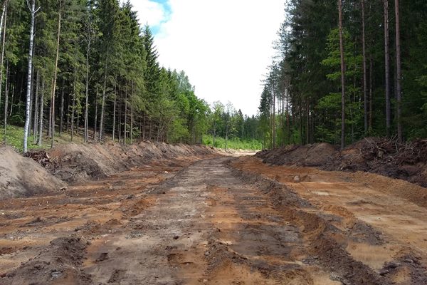 Ciblas novada mežos būvēs jaunus ceļus